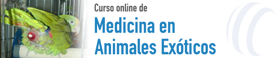 Medicina de Animales Exóticos